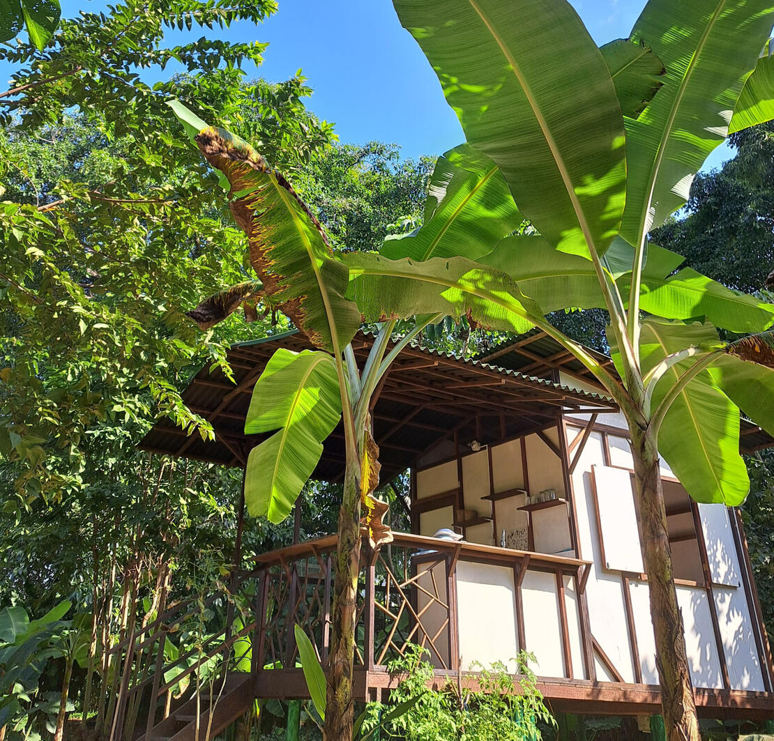 Cabin